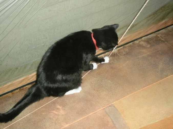 Tripper wanting to help